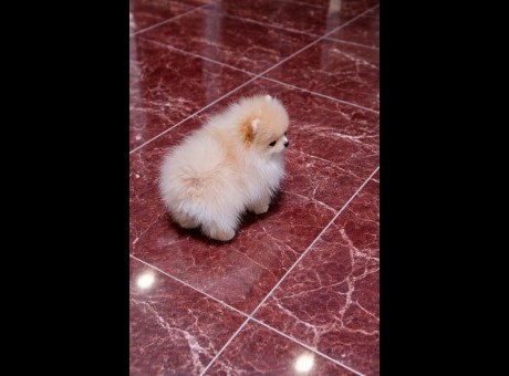 002 viber_slika_2026-04-14_12-57-33-877.jpg